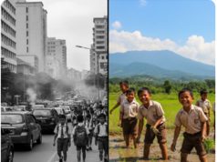 Darurat Iklim dan Kegagalan ‘Sekolah Tembok’: Mengapa Ekopedagogik Adalah Jalan Pulang Pendidikan Kita