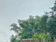 Curiga Berkat Genduri Masih di Tercantol di Pintu, Warga Golan Ponorogo Temukan Nur Aini Tak Bernyawa