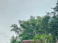 Curiga Berkat Genduri Masih di Tercantol di Pintu, Warga Golan Ponorogo Temukan Nur Aini Tak Bernyawa