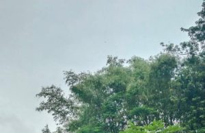 Curiga Berkat Genduri Masih Tercantol di Pintu, Warga Golan Ponorogo Temukan Nur Aini Tak Bernyawa