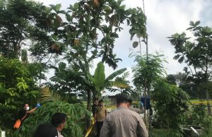 Naas, Petani di Sukorejo Ponorogo Tewas Tersengat Kabel Listrik Sibel Terkelupas