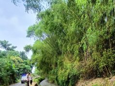 Hujan Deras, Tanggul Sungai Sono Sambit Ponorogo Ambrol 26 Meter