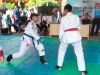 Berprestasi di Asia Tenggara, Gelar Darul Falah Ju-Jitsu Championship 2026