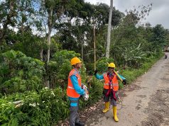 Tingkatkan Keandalan Listrik, PLN ULP Balong Lakukan Perabasan Pohon di Nawangan