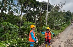 Tingkatkan Keandalan Listrik, PLN ULP Balong Lakukan Perabasan Pohon di Nawangan