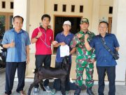 Bayar Pajak PBB, Desa Bancar Berikan Hadiah Pada Warga: Dari Kambing, Alat Elektronik hingga Pertanian