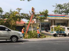 Jaga Keandalan Listrik, PLN ULP Ponorogo Gencarkan REOGAN, Rabu TEbang POtong GrebekAN