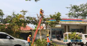 Jaga Keandalan Listrik, PLN ULP Ponorogo Gencarkan REOGAN, Rabu TEbang POtong GrebekAN