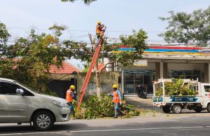 Jaga Keandalan Listrik, PLN ULP Ponorogo Gencarkan REOGAN, Rabu TEbang POtong GrebekAN
