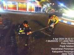 Terjang Bangjo Pasar Legi Ponorogo, Pemotor Mahasiswa Asal Jambi ‘Adu Banteng’ Versus Mobil