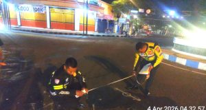 Terjang Bangjo Pasar Legi Ponorogo, Pemotor Mahasiswa Asal Jambi ‘Adu Banteng’ Versus Mobil