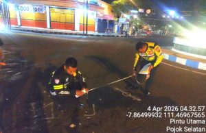 Terjang Bangjo Pasar Legi Ponorogo, Pemotor Mahasiswa Asal Jambi ‘Adu Banteng’ Versus Mobil
