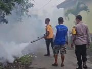 9 Warga Gelanglor Ponorogo Kena Chikungunya, Perangkat Desa & Pak Babin Gelar Fogging