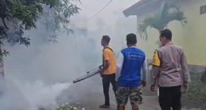 9 Warga Gelanglor Ponorogo Kena Chikungunya, Perangkat Desa & Pak Babin Gelar Fogging