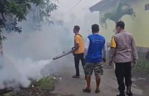 9 Warga Gelanglor Ponorogo Kena Chikungunya, Perangkat Desa & Pak Babin Gelar Fogging