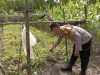 Turun ke Ladang, Bhabinkamtibmas Polsek Sawoo Polres Ponorogo Dampingi Petani Cek Tanaman Kacang di Grogol Sawoo