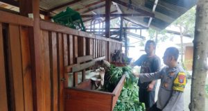 Pendampingan Bhabinkamtibmas Polsek Ngebel, Polres Ponorogo dalam Perawatan Ternak Kambing di Sempu, Kecamatan Ngebel