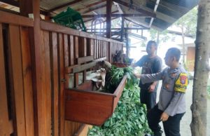 Pendampingan Bhabinkamtibmas Polsek Ngebel, Polres Ponorogo dalam Perawatan Ternak Kambing di Sempu, Kecamatan Ngebel