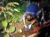 Tega Sekali Ortunya! Jasad Bayi Membusuk dalam Plastik di Selokan Trisono Ponorogo