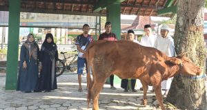 Perkuat Karakter Siswa, SMPN 1 Slahung Gelar Shalat Ied, Qurban Sapi & Distribusikan Tiga Kambing Pada 3 SD