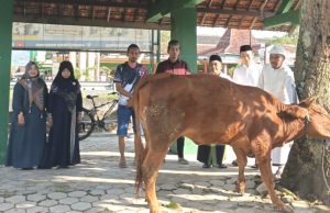 Perkuat Karakter Siswa, SMPN 1 Slahung Gelar Shalat Ied, Qurban Sapi & Distribusikan Tiga Kambing Pada 3 SD