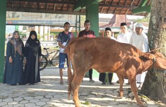 Perkuat Karakter Siswa, SMPN 1 Slahung Gelar Shalat Ied, Qurban Sapi & Distribusikan Tiga Kambing Pada 3 SD