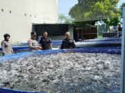 Dukung Ketahanan Pangan, Aipda Tommy Muhamad Bhabinkamtibmas di Ponorogo Sukses Kelola 14 Kolam Lele