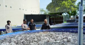 Dukung Ketahanan Pangan, Aipda Tommy Muhamad Bhabinkamtibmas di Ponorogo Sukses Kelola 14 Kolam Lele