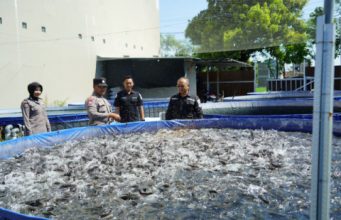 Dukung Ketahanan Pangan, Aipda Tommy Muhamad Bhabinkamtibmas di Ponorogo Sukses Kelola 14 Kolam Lele