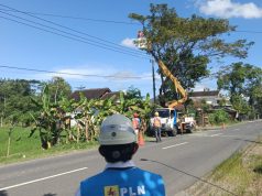 Kinerja PLN Jaga Keandalan Pasokan Listrik, PLN UP3 Ponorogo Gencarkan REOGAN di ULP Trenggalek