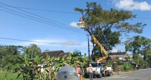 Kinerja PLN Jaga Keandalan Pasokan Listrik, PLN UP3 Ponorogo Gencarkan REOGAN di ULP Trenggalek