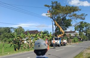 Kinerja PLN Jaga Keandalan Pasokan Listrik, PLN UP3 Ponorogo Gencarkan REOGAN di ULP Trenggalek