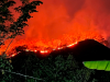 Malam-Malam Hutan Ponorogo Dilalap Si Jago Merah, Warga Karanglo Kidul Sempat Waswas