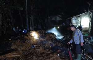 Ditinggal Takziah, Tumpukan Jerami Kandang di Balong Terbakar, 2 Sapi & 7 Kambing Selamat