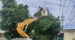 Sambut Hari Pelanggan Nasional, PLN UP3 Ponorogo Perkuat Keandalan Jaringan lewat Rabas-Rabas di Pacitan