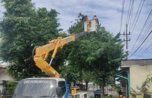 Sambut Hari Pelanggan Nasional, PLN UP3 Ponorogo Perkuat Keandalan Jaringan lewat Rabas-Rabas di Pacitan