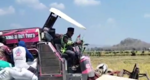 Hasil Panen Bagus, Harga Gabah Sawah di Gelanglor Ponorogo Capai Rp 810 Ribu per Kuintal