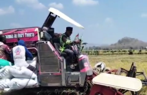 Hasil Panen Bagus, Harga Gabah Sawah di Gelanglor Ponorogo Capai Rp 810 Ribu per Kuintal