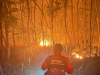 Hutan Rakyat di Kaponan Mlarak Ponorogo Terbakar, 1,5 Hektar Lahan Jati Hangus
