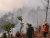 Hutan 6 Hektar Ludes Terbakar! TNI dan Perhutani Ponorogo Berjuang Padamkan Api Sampai Sore Hari