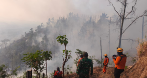 Hutan 6 Hektar Ludes Terbakar! TNI dan Perhutani Ponorogo Berjuang Padamkan Api Sampai Sore Hari