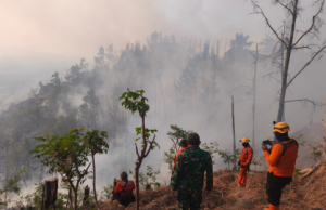 Hutan 6 Hektar Ludes Terbakar! TNI dan Perhutani Ponorogo Berjuang Padamkan Api Sampai Sore Hari
