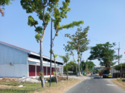 V-Ixion Serempet Pejalan Kaki di Dekat KDMP Nambangrejo Ponorogo, Pemotor Pendarahan Mulut, Hidung & Telinga