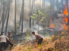 Medan Curam Sulit Dijangkau, Kebakaran 2 Hektare Hutan Pinus Gunung Limas Ponorogo