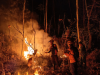 Gunung Gede Slahung Ponorogo Terbakar