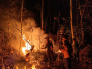Gunung Gede Slahung Ponorogo Terbakar