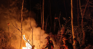 Gunung Gede Slahung Ponorogo Terbakar