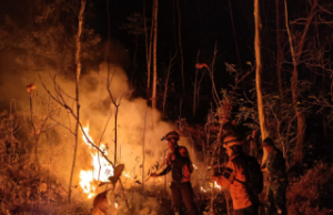 Gunung Gede Slahung Ponorogo Terbakar