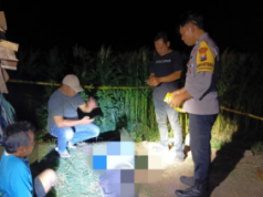 Kakek di Sambit Ponorogo Ditemukan Meninggal di Ladang Jagung