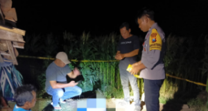 Kakek di Sambit Ponorogo Ditemukan Meninggal di Ladang Jagung